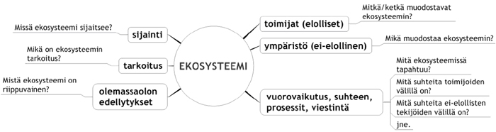 ekosysteemi_2.jpg